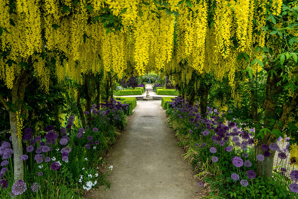 UK Gardens Desk Calendar